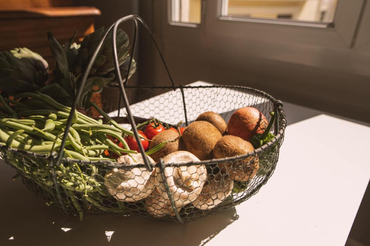 Chez Pepito et Chez Zaza Rooftop Nîmes Zewnętrze zdjęcie